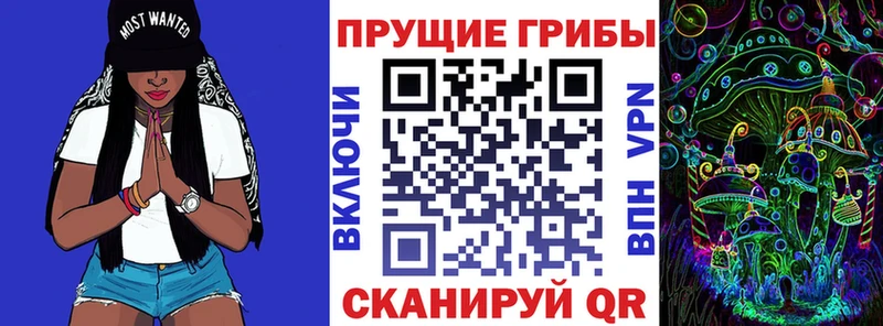Псилоцибиновые грибы Cubensis  Дегтярск 